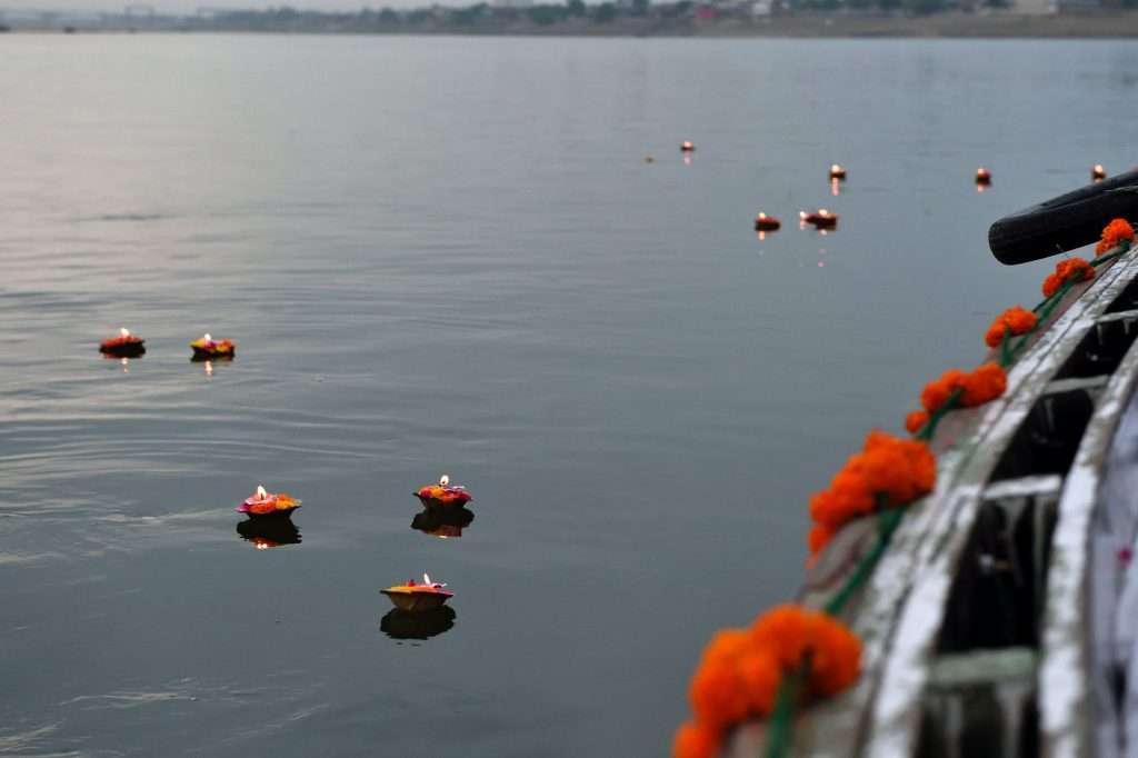 orange flowers on water