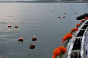orange flowers on water