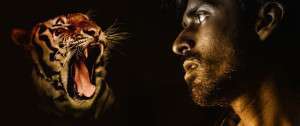 predator, tiger, man-2217941.jpg